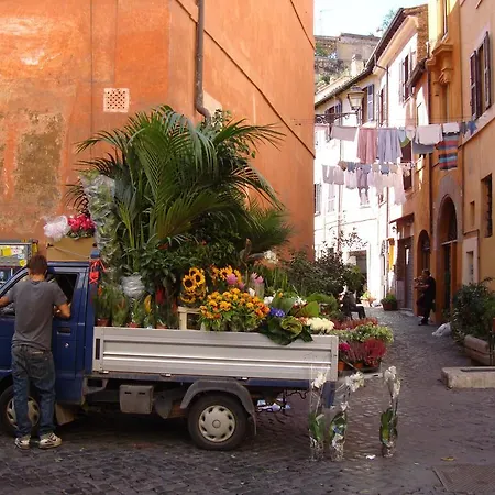 Lejlighed Romadolcecasa